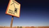 Australia takes new direction as mining industry slows