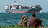 harbouring ambitions