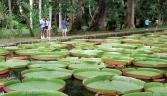 Mauritius looks beyond tourism revenues